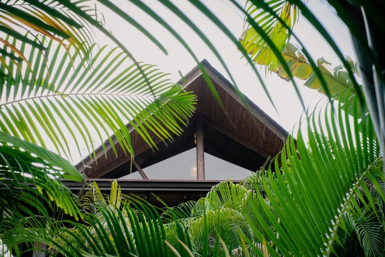 Lua Villas Playa Santa Teresa  Luaran gambar