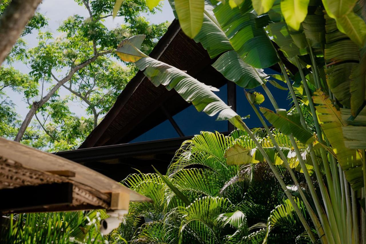 Lua Villas Playa Santa Teresa  Luaran gambar